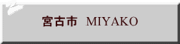 宮古市　MIYAKO 